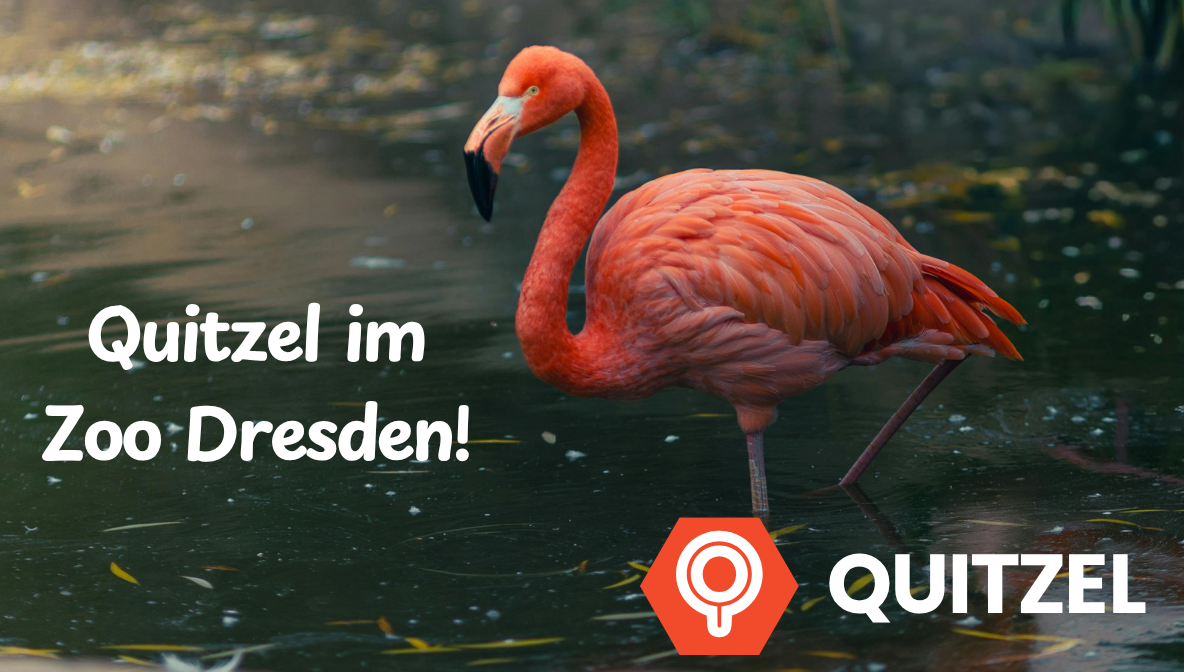 Ab heute: Quitzel im Zoo Dresden!